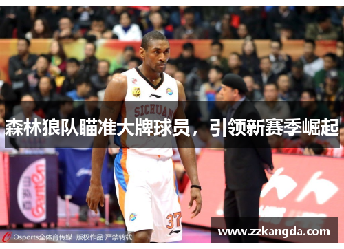 森林狼队瞄准大牌球员，引领新赛季崛起